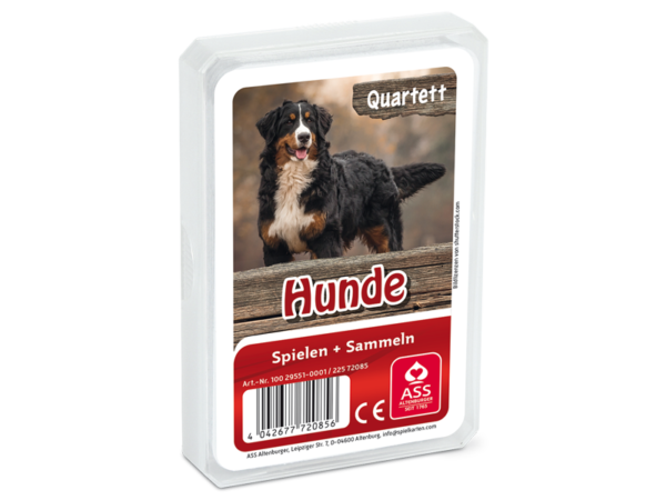 Quartett Hunde